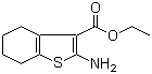 2-氨基-4,5,6,7-四氢-苯并[b]噻吩-3-羧酸乙酯结构式_4506-71-2结构式