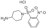 1-(2-Nitro-benzenesulfonyl)-piperidin-4-ylamine hydrochloride Structure,468720-14-1Structure