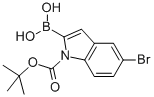 5-Bromo-N-(butoxycarbonyl)indole-2-boronic acid Structure,475102-13-7Structure