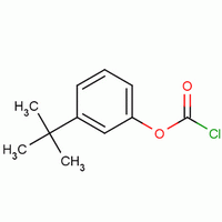 M-tert-butylphenyl chloroformate Structure,49561-88-8Structure