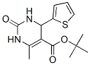 5-Pyrimidinecarboxylicacid,1,2,3,4-tetrahydro-6-methyl-2-oxo-4-(2-thienyl)-,1,1-dimethylethylester(9ci) Structure,500268-74-6Structure