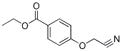 4-(Cyanomethoxy)benzoic acid ethyl ester Structure,501662-75-5Structure