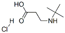 3-(叔丁基氨基)丙酸盐酸盐结构式_51482-99-6结构式