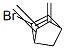 Bicyclo[2.2.1]hept-2-ene,2-bromo-5,6-bis(methylene)-(9ci) Structure,524741-57-9Structure