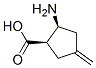 (1R,2s)-2-amino-4-methylidene-cyclopentane-1-carboxylic acid Structure,526194-96-7Structure