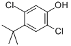 2,5-Dichloro-4-(1,1-dimethylethyl)-phenol Structure,52780-22-0Structure