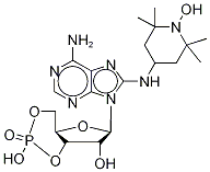 8-Tempo-aminoadenosine cyclic 3’,5’-monophosphate Structure,54606-91-6Structure