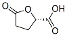 (S)-5-Oxotetrahydrofuran-2-carboxylic acid Structure,54848-33-8Structure