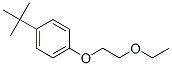 1-Tert-butyl-4-(2-ethoxyethoxy)benzene Structure,54889-97-3Structure