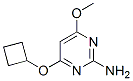 (9ci)-4-(环丁基氧基)-6-甲氧基-2-嘧啶胺结构式_552880-94-1结构式