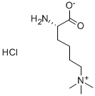 N-(5-amino-5-carboxypentyl)-n,n-dimethylmethanaminium Structure,55528-53-5Structure