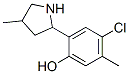 Phenol, 4-chloro-5-methyl-2-(4-methyl-2-pyrrolidinyl)-(9ci) Structure,603069-14-3Structure