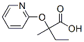 2-Methyl-2-(pyridin-2-yloxy)butanoic acid Structure,605680-43-1Structure