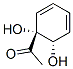 Ethanone, 1-[(1r,6s)-1,6-dihydroxy-2,4-cyclohexadien-1-yl]-(9ci) Structure,623563-55-3Structure