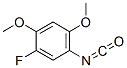 (9ci)-1-氟-5-异氰酰基-2,4-二甲氧基-苯结构式_625119-43-9结构式