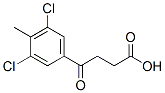 3-(3,5-Dichloro-4-methylbenzoyl)propionic acid Structure,62903-05-3Structure