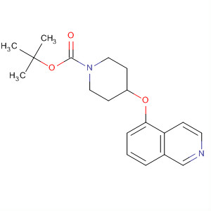 1-(Tert-butoxycarbonyl)-4-[(5-isoquinolyl)oxy]piperidine Structure,651310-01-9Structure