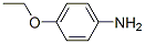 4-(Ethylamino)phenol Structure,659-34-7Structure