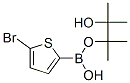 5-Bromothiophene-2-boronic acid pinacol ester Structure,676501-84-1Structure