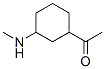 Ethanone, 1-[3-(methylamino)cyclohexyl]-(9ci) Structure,67654-10-8Structure