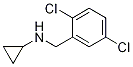 Cyclopropyl-(2,5-dichloro-benzyl)-amine Structure,680591-59-7Structure