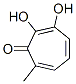 2,4,6-Cycloheptatrien-1-one, 2,3-dihydroxy-7-methyl-(9ci) Structure,690233-50-2Structure