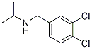 (3,4-Dichloro-benzyl)-isopropyl-amine Structure,69957-82-0Structure