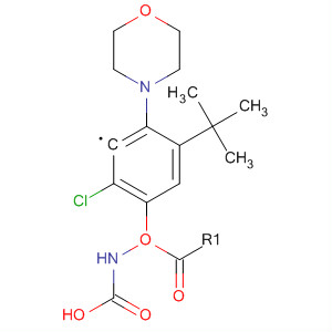 (2-Chloro-4-morpholin-4-yl-phenyl)-carbamic acid tert-butyl ester Structure,700804-11-1Structure