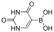 2,4-二羟基-5-嘧啶硼酸结构式_70523-22-7结构式