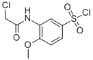 3-(2-氯乙酰基氨基)-4-甲氧基苯磺酰氯结构式_728864-70-8结构式