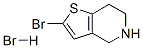 2-Bromo-4,5,6,7-tetrahydrothieno[3,2-c]pyridine hydrobromide Structure,733757-75-0Structure