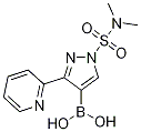 (1-(N,N-二甲基磺酰基)-3-(吡啶-2-基)-1H-吡唑-4-基)硼酸结构式_746668-81-5结构式