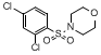 4-(2,4-Dichlorophenylsulfonyl)morpholine Structure,74832-72-7Structure