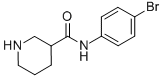 N-(4-bromophenyl)piperidine-3-carboxamide Structure,749846-52-4Structure