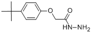 (4-Tert-butyl-phenoxy)-acetic acid hydrazide Structure,75843-50-4Structure