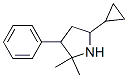 (9CI)-5-环丙基-2,2-二甲基-3-苯基吡咯烷结构式_782392-43-2结构式