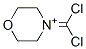 Morpholinium,4-(dichloromethylene)-(9ci) Structure,790600-30-5Structure