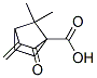 Bicyclo[2.2.1]heptane-1-carboxylic acid, 7,7-dimethyl-3-methylene-2-oxo-(9ci) Structure,791067-24-8Structure