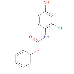 苯基 n-(2-氯-4-羟基苯基)氨基甲酸酯结构式_796848-80-1结构式