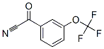 2-Oxo-2-[3-(trifluoromethoxy)phenyl]-acetonitrile Structure,80277-37-8Structure