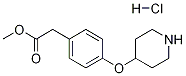 Methyl 2-[4-(4-piperidinyloxy)phenyl]acetate hydrochloride Structure,811813-40-8Structure