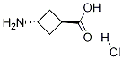 Trans-3-aminocyclobutanecarboxylicacidhydrochloride Structure,84182-60-5Structure