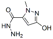 3-Hydroxy-1-methyl-1H-pyrazole-5-carbohydrazide Structure,844891-24-3Structure