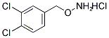 O-(3,4-dichlorobenzyl)hydroxylamine Structure,84772-12-3Structure