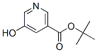 tert-Butyl 5-hydroxynicotinate Structure,847943-53-7Structure