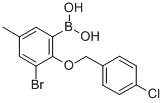 3-Bromo-2-(4-chlorobenzyloxy)-5-methylphenylboronic acid Structure,849052-18-2Structure