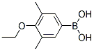 3,5-二甲基-4-乙氧基苯硼酸结构式_850568-59-1结构式