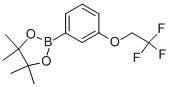 4,4,5,5-Tetramethyl-2-[3-(2,2,2-trifluoro-ethoxy)-phenyl]-[1,3,2]dioxaborolane Structure,864754-15-4Structure