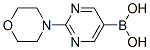 2-Morpholinopyrimidin-5-ylboronic acid Structure,870521-33-8Structure