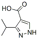 3-异丙基吡唑-4-羧酸结构式_870704-28-2结构式